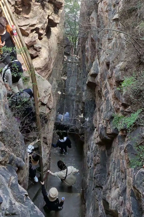 工程造價公司