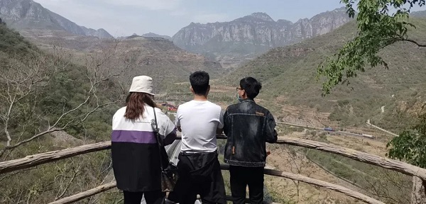 工程造價公司